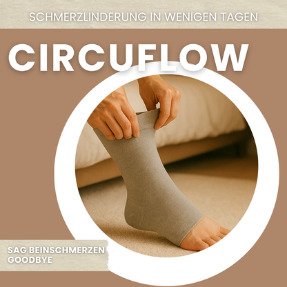 CircuFlow