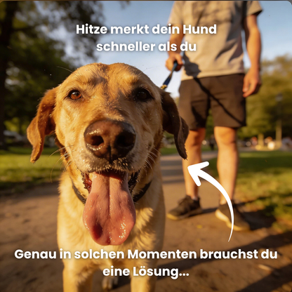 HydroPaw – Tragbare Hundetrinkflasche mit Sofort-Napf