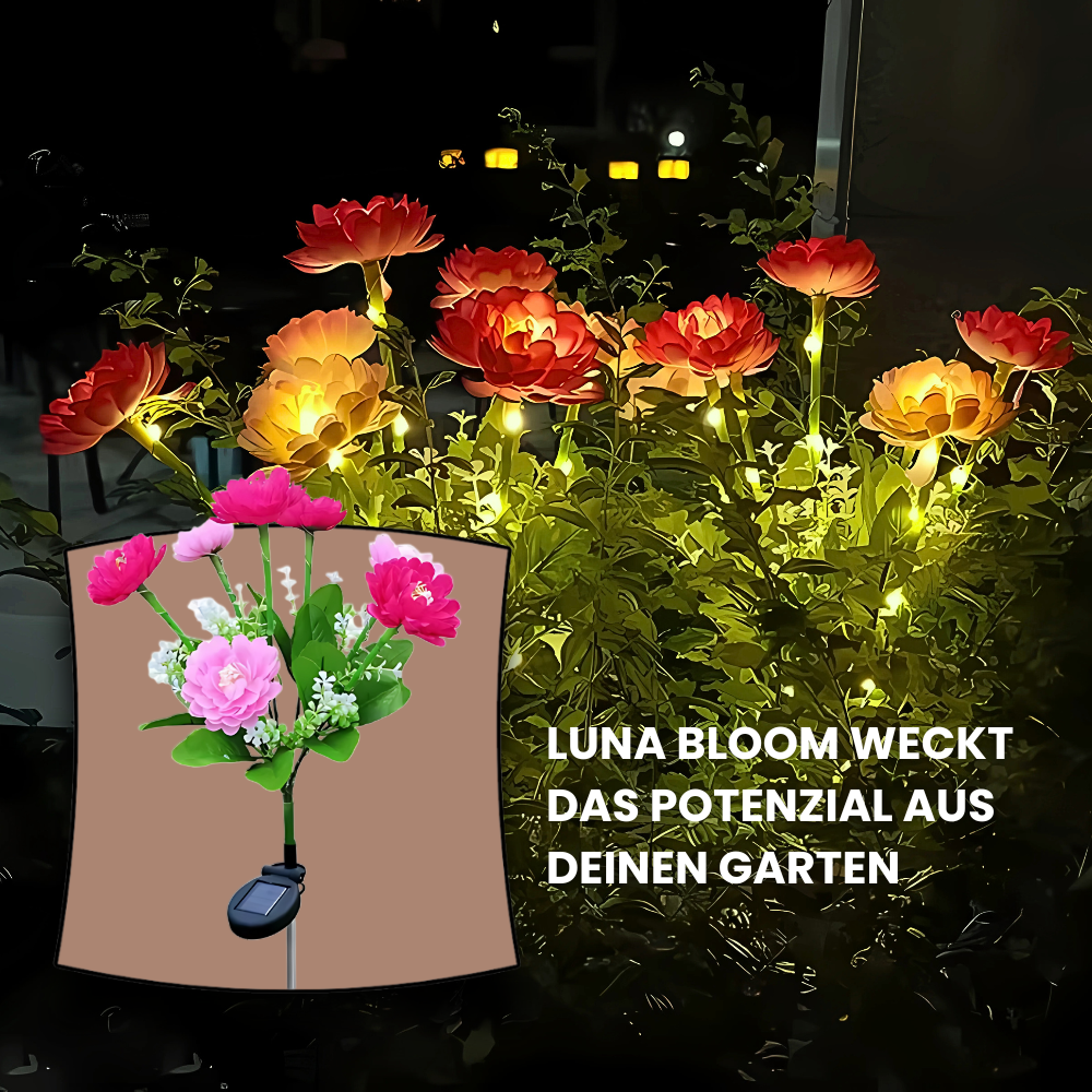 LunaBloom