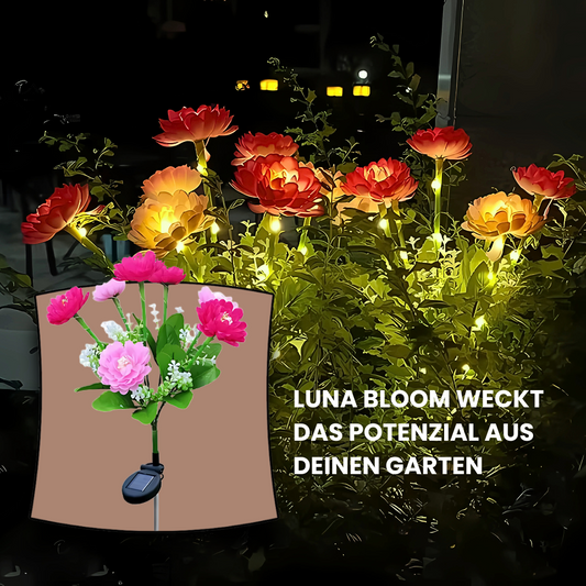 LunaBloom