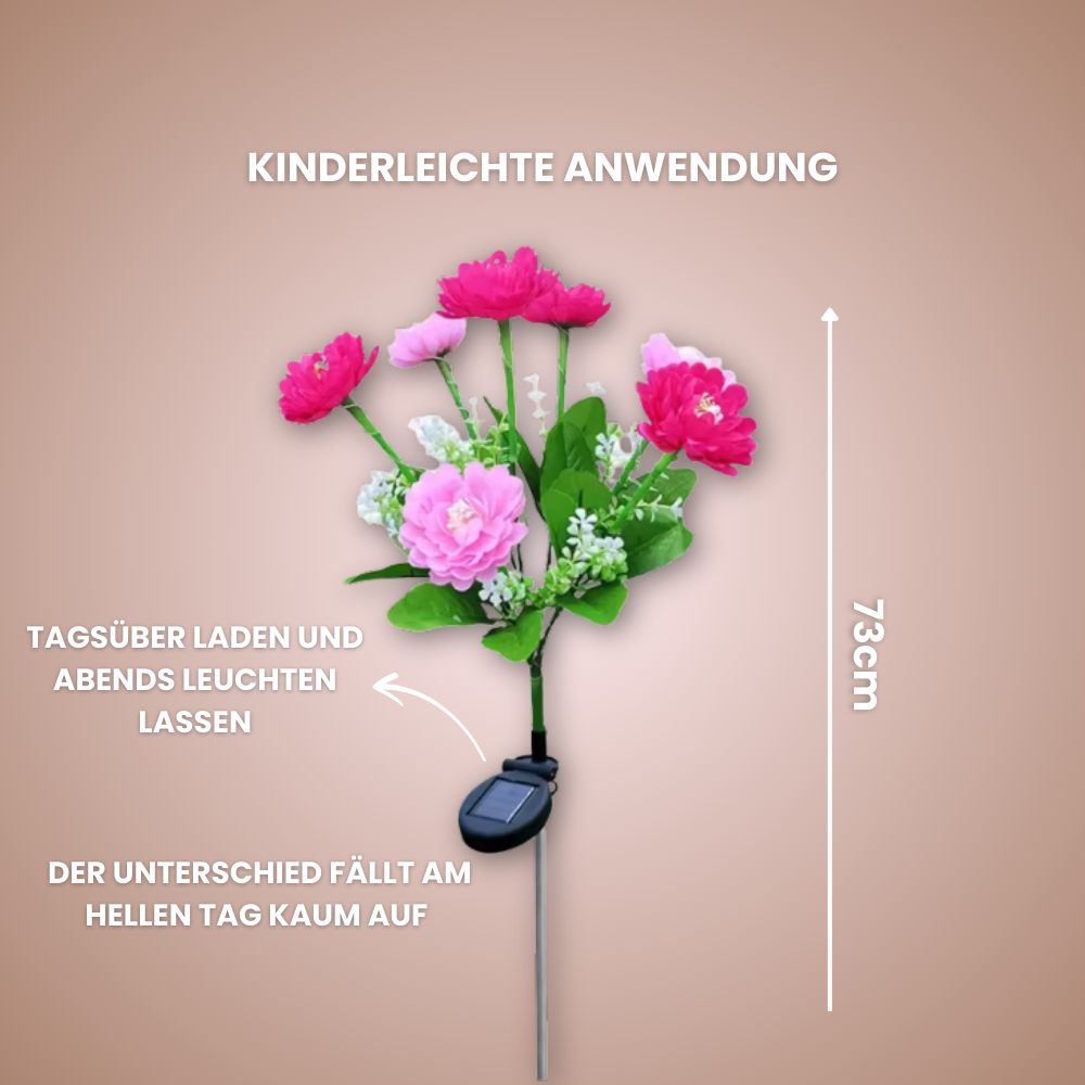 LunaBloom