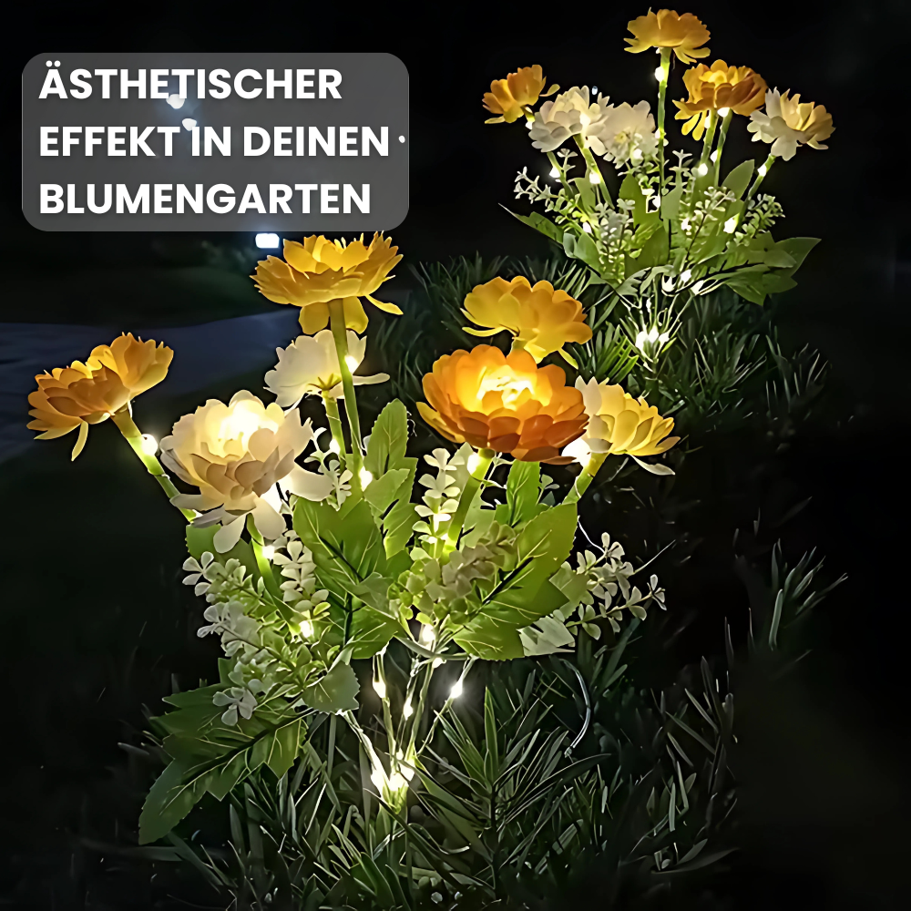 LunaBloom