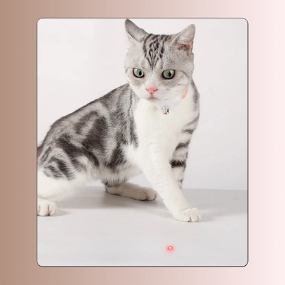 PawLaser