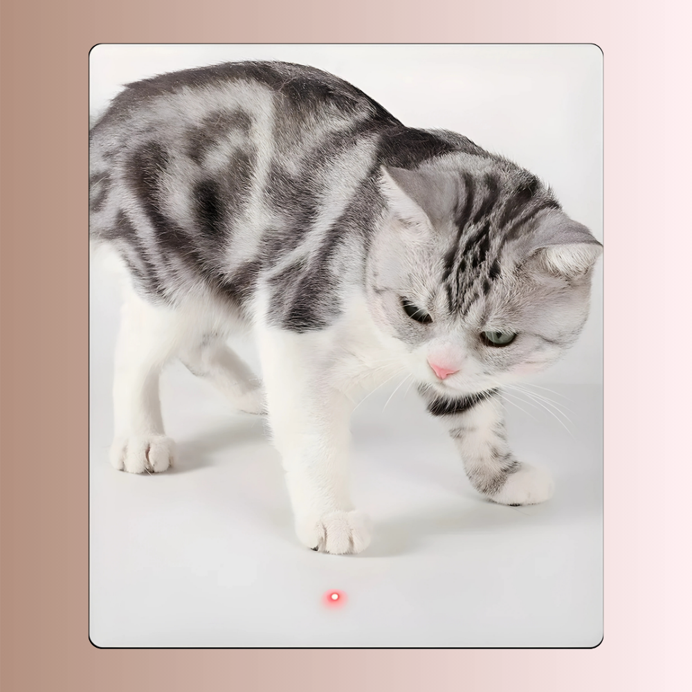 PawLaser