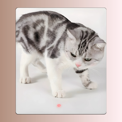 PawLaser